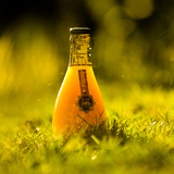 芒果汁226ML