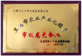 龍頭企業.png